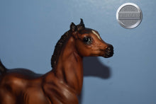 Load image into Gallery viewer, Liver Chestnut Foal-Running Foal Mold-Breyer Traditional