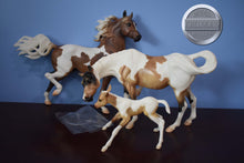 Load image into Gallery viewer, Pinto/Arab Family-JCP Exclusive-Huckleberry Bey, Sucesion and Lefire Mold-Breyer Traditional