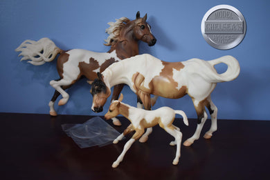 Pinto/Arab Family-JCP Exclusive-Huckleberry Bey, Sucesion and Lefire Mold-Breyer Traditional