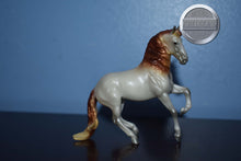 Load image into Gallery viewer, Rose Grey Andalusian-Mini Alborozo Mold-Breyer Stablemate