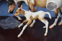 Load image into Gallery viewer, Pinto/Arab Family-JCP Exclusive-Huckleberry Bey, Sucesion and Lefire Mold-Breyer Traditional
