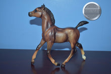 Load image into Gallery viewer, Liver Chestnut Foal-Running Foal Mold-Breyer Traditional