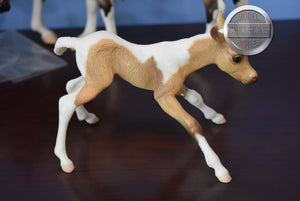 Pinto/Arab Family-JCP Exclusive-Huckleberry Bey, Sucesion and Lefire Mold-Breyer Traditional
