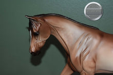 Load image into Gallery viewer, Party Girl-Strapless Mold-Breyer Traditional