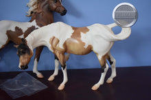 Load image into Gallery viewer, Pinto/Arab Family-JCP Exclusive-Huckleberry Bey, Sucesion and Lefire Mold-Breyer Traditional