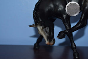 Black Appaloosa Scratching Foal-Vintage Scratching Foal Mold-Breyer Traditional
