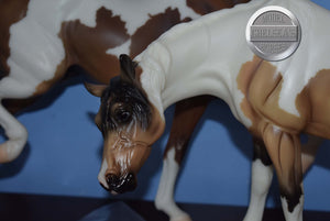 Pinto/Arab Family-JCP Exclusive-Huckleberry Bey, Sucesion and Lefire Mold-Breyer Traditional