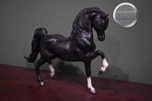 Load image into Gallery viewer, Prancing Morgan-Sherman Morgan Mold-Breyer Traditional