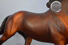 Load image into Gallery viewer, Flash-Original on the Flash Mold-Breyer Traditional