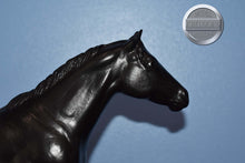 Load image into Gallery viewer, Black Appaloosa-From Treasure Hunt-Short Tail-Lady Phase Mold-Breyer Traditional