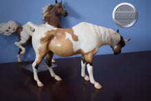 Load image into Gallery viewer, Pinto/Arab Family-JCP Exclusive-Huckleberry Bey, Sucesion and Lefire Mold-Breyer Traditional