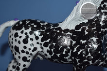 Load image into Gallery viewer, Custom Appaloosa Shire-Shire B Mold-Breyer Classic