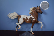 Load image into Gallery viewer, Pinto/Arab Family-JCP Exclusive-Huckleberry Bey, Sucesion and Lefire Mold-Breyer Traditional