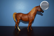 Load image into Gallery viewer, Carinosa-Proud Arabian Mare Mold-Breyer Traditional
