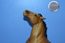 Load image into Gallery viewer, Diablo-Buckskin Mustang-Semi Rearing Mold-Breyer Traditional