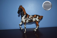 Load image into Gallery viewer, Kalahari-Animal Series Web Special-Marwari Mold-Breyer Traditional