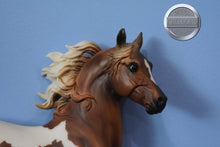 Load image into Gallery viewer, Pinto/Arab Family-JCP Exclusive-Huckleberry Bey, Sucesion and Lefire Mold-Breyer Traditional