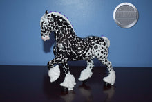 Load image into Gallery viewer, Custom Appaloosa Shire-Shire B Mold-Breyer Classic