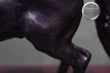 Load image into Gallery viewer, Prancing Morgan-Sherman Morgan Mold-Breyer Traditional