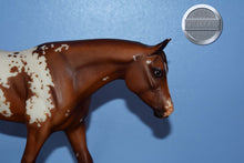 Load image into Gallery viewer, Impress Me Shannon-Zippo Pine Bar Mold-Breyer Traditional
