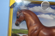 Load image into Gallery viewer, Chestnut Family Arabian Stallion-New in Box-FAS Mold-Breyer Traditional