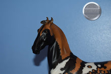 Load image into Gallery viewer, Kalahari-Animal Series Web Special-Marwari Mold-Breyer Traditional