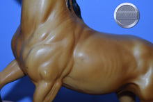 Load image into Gallery viewer, Diablo-Buckskin Mustang-Semi Rearing Mold-Breyer Traditional