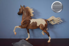 Load image into Gallery viewer, Pinto/Arab Family-JCP Exclusive-Huckleberry Bey, Sucesion and Lefire Mold-Breyer Traditional