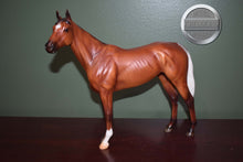 Load image into Gallery viewer, Girls Run the World-Matte Bay Version-Breyerfest Exclusive-Standing Thoroughbred Mold-Breyer Traditional