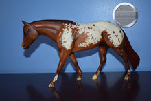 Load image into Gallery viewer, Impress Me Shannon-Zippo Pine Bar Mold-Breyer Traditional