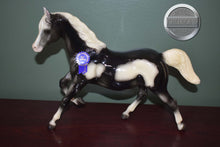 Load image into Gallery viewer, Salt and Pepper-Vintage Club Exclusive-Running Mare and Running Foal Mold-Breyer Traditional