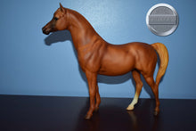 Load image into Gallery viewer, Carinosa-Proud Arabian Mare Mold-Breyer Traditional