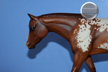 Load image into Gallery viewer, Impress Me Shannon-Zippo Pine Bar Mold-Breyer Traditional