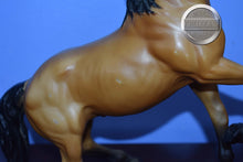 Load image into Gallery viewer, Diablo-Buckskin Mustang-Semi Rearing Mold-Breyer Traditional