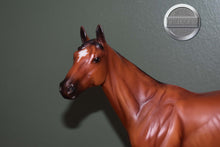 Load image into Gallery viewer, Girls Run the World-Matte Bay Version-Breyerfest Exclusive-Standing Thoroughbred Mold-Breyer Traditional