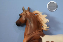 Load image into Gallery viewer, Pinto/Arab Family-JCP Exclusive-Huckleberry Bey, Sucesion and Lefire Mold-Breyer Traditional
