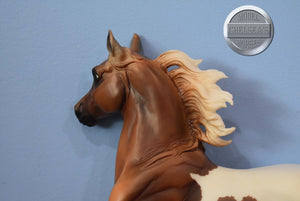 Pinto/Arab Family-JCP Exclusive-Huckleberry Bey, Sucesion and Lefire Mold-Breyer Traditional