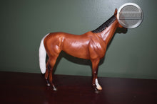 Load image into Gallery viewer, Girls Run the World-Matte Bay Version-Breyerfest Exclusive-Standing Thoroughbred Mold-Breyer Traditional