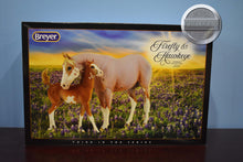 Load image into Gallery viewer, Firefly and Hawkeye-New in Box-Premier Club Exclusive-Breyer Traditional