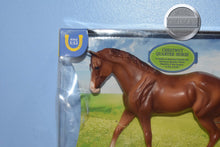 Load image into Gallery viewer, Chestnut Quarter Horse-Quarter Horse Gelding-New in Box-Breyer Classic