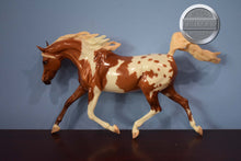 Load image into Gallery viewer, Glossy Pintaloosa-Weathergirl Mold-Breyer Traditional