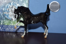 Load image into Gallery viewer, Fandango-with Pin-Striking Arabian Mold-Breyer Stablemate