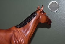 Load image into Gallery viewer, Girls Run the World-Matte Bay Version-Breyerfest Exclusive-Standing Thoroughbred Mold-Breyer Traditional