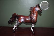 Load image into Gallery viewer, Kehinde-Collector Club Exclusive-American Saddlebred Mold-Breyer Traditional