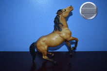 Load image into Gallery viewer, Diablo-Buckskin Mustang-Semi Rearing Mold-Breyer Traditional