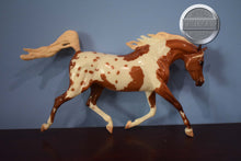 Load image into Gallery viewer, Glossy Pintaloosa-Weathergirl Mold-Breyer Traditional