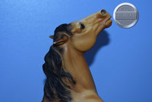 Load image into Gallery viewer, Diablo-Buckskin Mustang-Semi Rearing Mold-Breyer Traditional