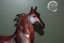 Load image into Gallery viewer, Kehinde-Collector Club Exclusive-American Saddlebred Mold-Breyer Traditional