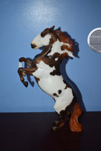 Load image into Gallery viewer, This Is My Fight Song-No Base Variation-Breyerfest Exclusive-Lipizzaner Mold-Breyer Traditional