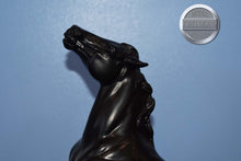 Load image into Gallery viewer, Bucephalus-Semi Rearing Mustang Mold-Breyer Traditional